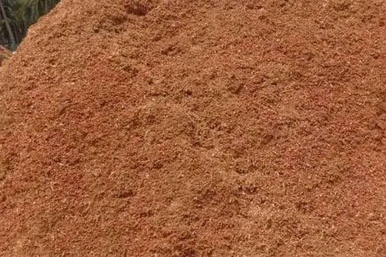 Coco - Peat Powder