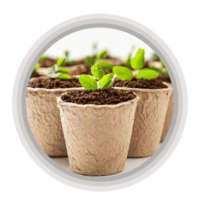Coir Pots & Baskets