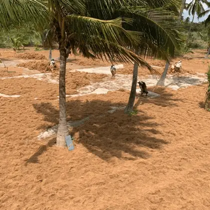 K.K.Coir infrastructure photo 11