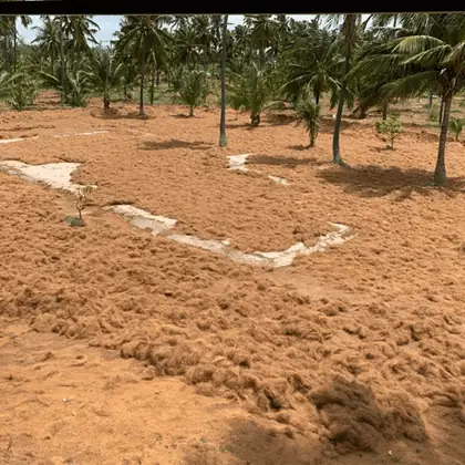 K.K.Coir infrastructure photo 12