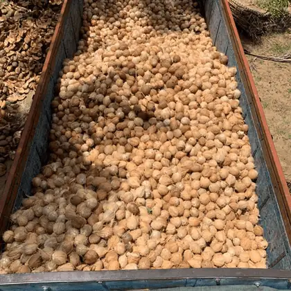 K.K.Coir infrastructure photo 4