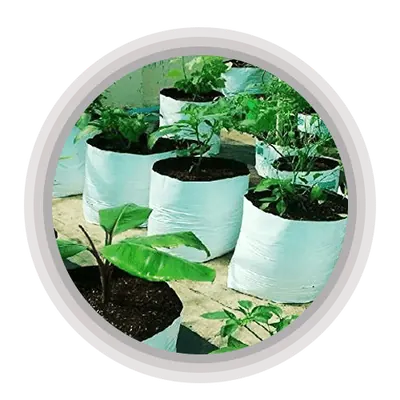 Coir Grow Bags
