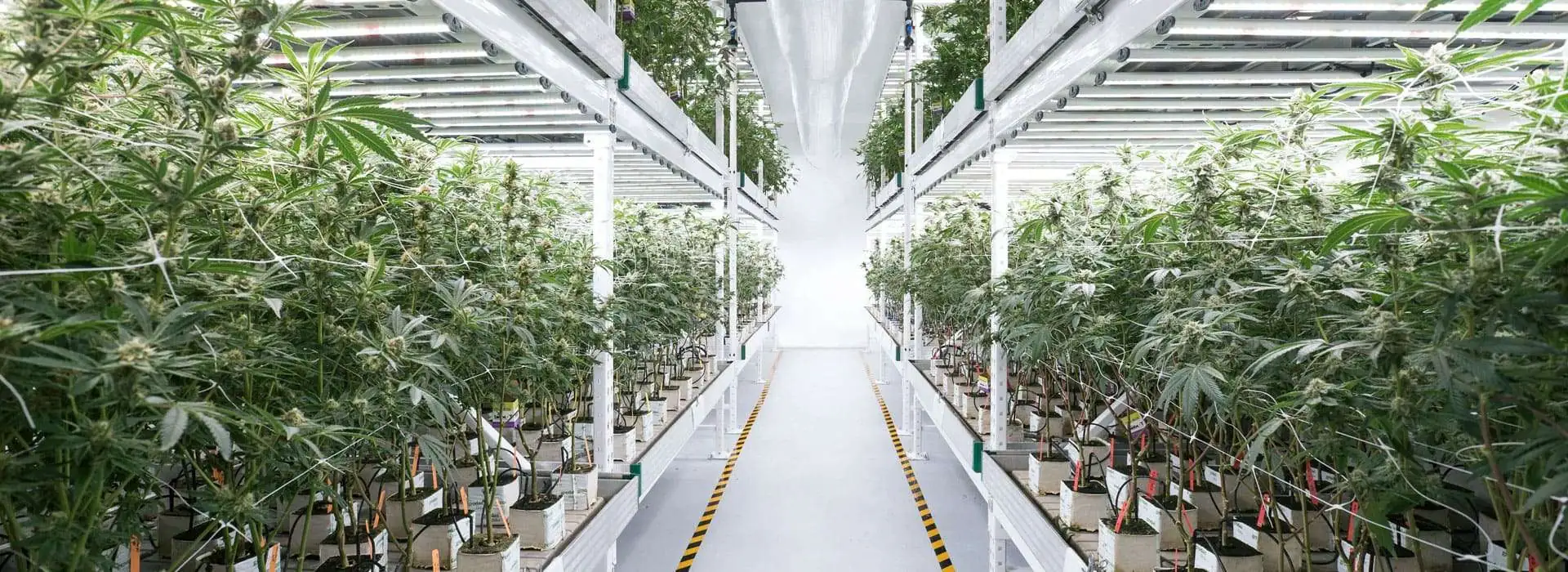 K.K.Coir growing medium banner 5