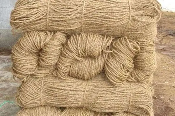 White Ropes