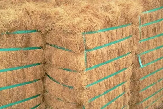 White Fibre